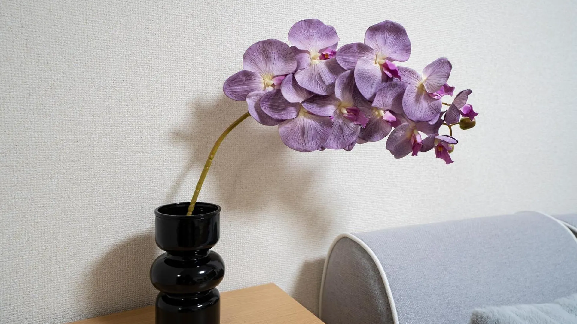 6Th Floor 602 With Elevator, 700 Meters Walk From Nishi-Shinjuku Gochome 4 Minutes To Shinjuku, 75 Square Meters Plus 30 Square Meters Of Large Balcony Tokyo 0*,
